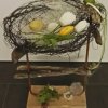 Frühlingserwachen im Vogelnest